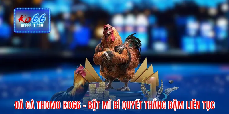 đá gà thomo