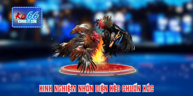 Kinh nghiệm nhận diện kèo chuẩn xác